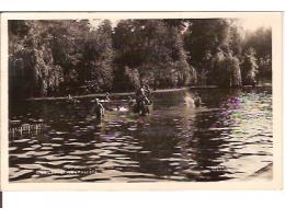 CHOLTICE / PARDUBICE + KOUPALIŠTĚ /rok1940?*ca1941