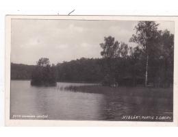 Loučeň Vidlák foto Zahrádka  r.1939  okr. Nymburk  ***51993a