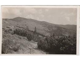 NIZKE TATRY=VELKÁ CHOCHULA  /rok1931?*fb2252