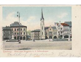 TRUTNOV =tzv.DLOUHÁ ADRESA=/rok1902*fb2344