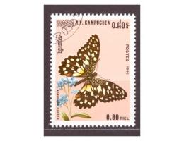 R. P. Kampuchea - motýl,   hmyz