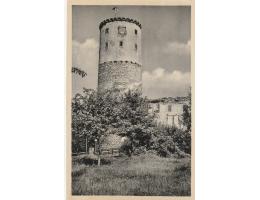 ZVÍŘETNICE  HRAD ZŘÍCENINA r.1945  NAKL. V. MĚKOTA  °HB839