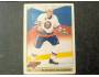 Vladimir Malakhov 1993/94 New York Islanders, Topps č. 445