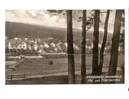 PENSION DALIBORKA-PEC POD ČERCHOVEM//r.1934//M46-50