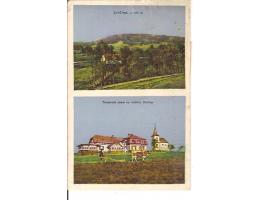 ZVIČINA / DVŮR KRÁLOVÉ /rok1919?*AE668