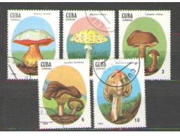 Houba, houby, flóra - Kuba