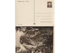 1953 Adršpašské skály - Džbán, celinová pohlednice Pofis č.C