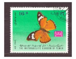Jemen - motýl, motýli
