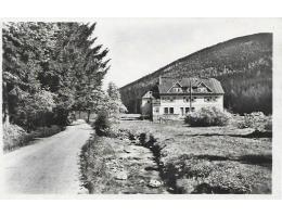 HARRACHOV /KRKONOŠE /r.1950 / M339-64