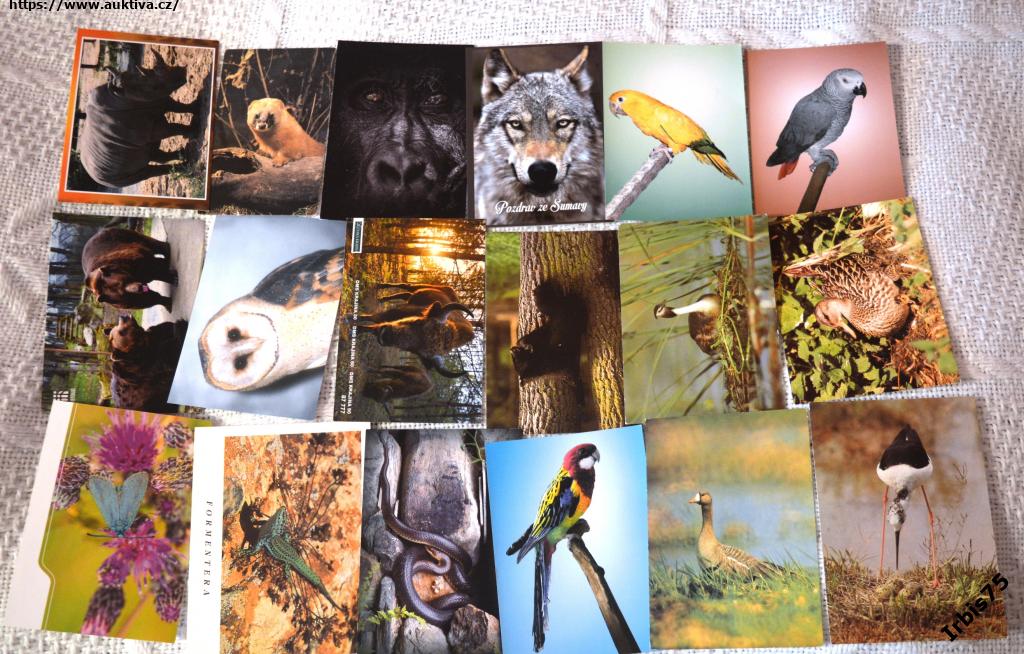 Klikněte pro zvětšení