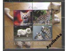 Kočka, kočky, fauna - Djibouti **