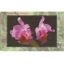 Klikni pro zvětšení