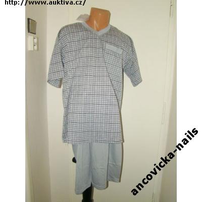 Klikněte pro zvětšení