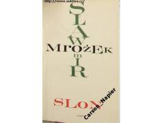 Více obrázků