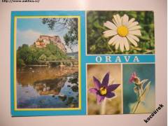 Slovensko - Orava hrad, květena (1979)