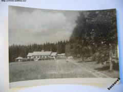 Věšín (Rožmitál p/Třemšínem) tábor ROH Brdy 1956