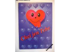 Chci jen Tebe - 1999