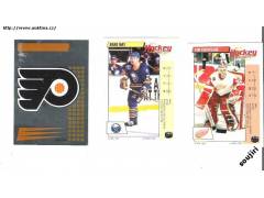 Hokejové karty 3 ks Panini
