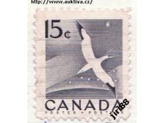 Kanada o Mi.0288A fauna - ptáci - terej bílý