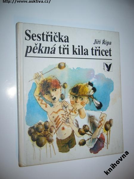 Klikněte pro zvětšení