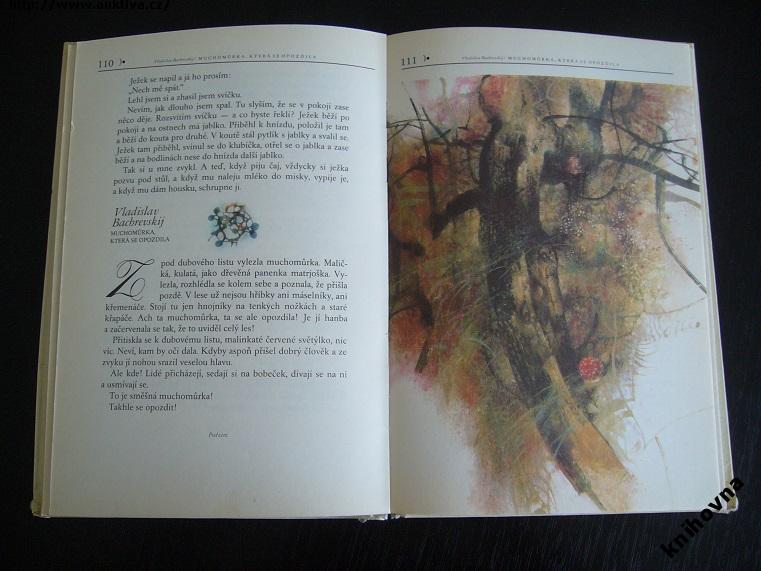 Klikněte pro zvětšení