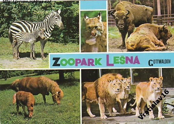 Klikněte pro zvětšení