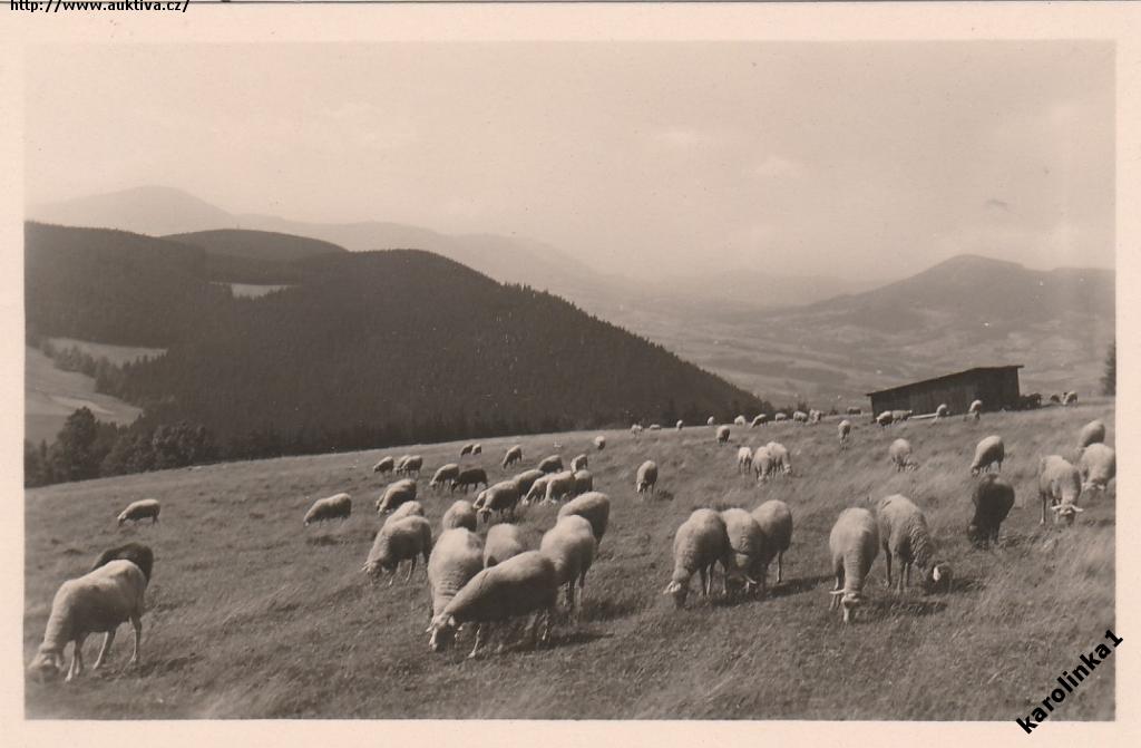 Klikněte pro zvětšení